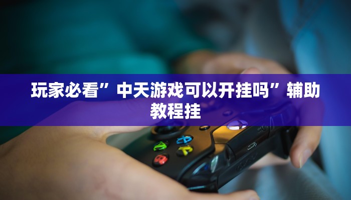 教程分享“填大坑透视开挂”其实确实有挂